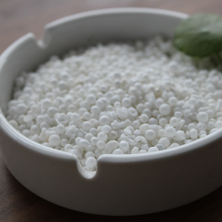 �����X������